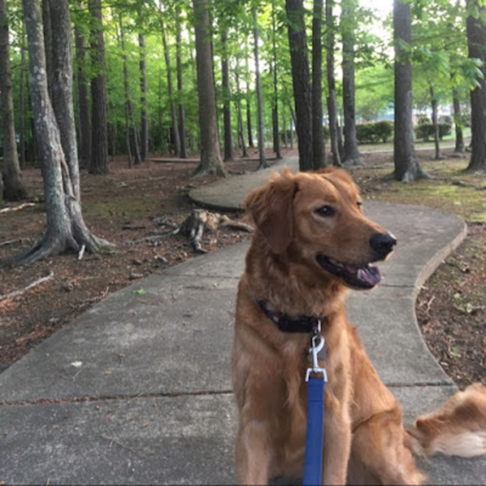 Meet your Posher, Maggie